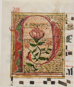 Decorated Initial "P" with Flowers from a Manuscript by Unknown artist