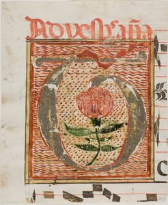 Decorated Initial "T" with Flower from a Manuscript by Unknown artist