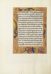 Decorated Text Page
