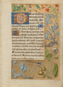 Decorated Text Page by Unknown artist