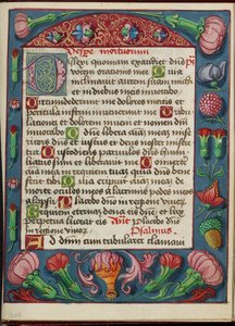 Decorated Text Page