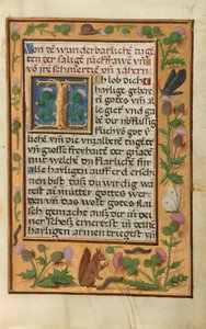 Decorated Text Page by Unknown artist