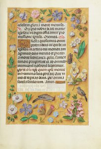 Decorated Text Page by Unknown artist