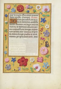 Decorated Text Page by Unknown artist