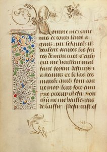 Decorated Text Page by Unknown artist