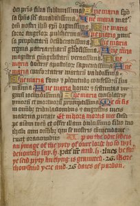 Decorated Text Page by Unknown artist