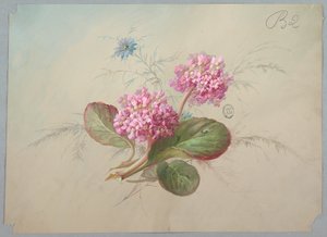 Design for Wallpaper and Textile: Flowers