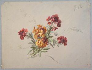 Design for Wallpaper and Textile: Flowers by Unknown artist