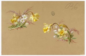 Design for Wallpaper and Textile: Flowers