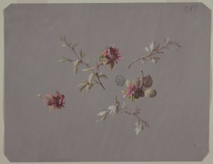 Design for Wallpaper and Textiles: Flowers by Unknown artist