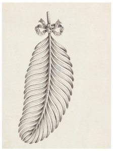 Design for a Brooch in Shape of a Feather by Unknown artist