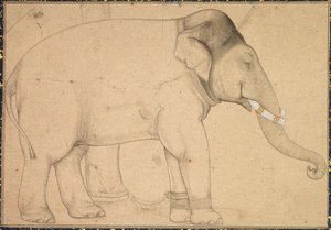 Drawing of an Elephant by Unknown artist