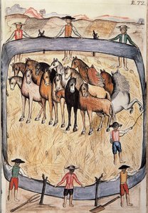 Dressage of Wild Horses, from the Book 