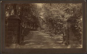 Entrance to Silver Spring
