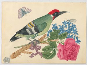 European Green Woodpecker on Branch with Rose and Forget-Me-Nots