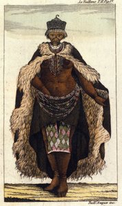Female Member of the South African Tribe of Hottentots