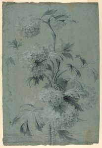 Floral Design