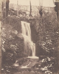 Forest Scene with Waterfall and Stream by Unknown artist