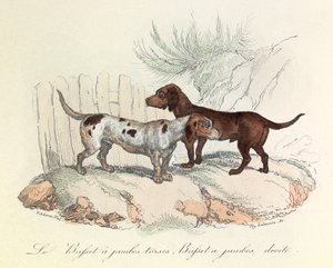 Illustration from the Book 