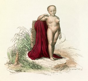 Illustration from the Book 