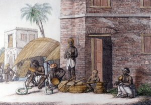 Indian Culture and Civilization: Snake Charmers in India