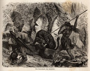 Indian Ticuna Attacking a Tiger by Unknown artist