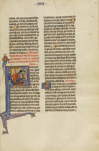 Initial S: A Judge with Two Men Pointing at Two Peacocks