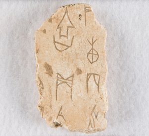 Inscribed bone fragment ("oracle bone")