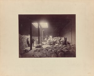Interior of Wool Sorting House, Walter Brown and Company by Unknown artist
