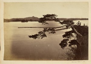 Landscape with Lake and Trees by Unknown artist