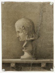 Marble Bust of a Young Man