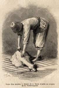 Mowing a sheep by a young Tatar man, in Schusha (Transcaucasia, Russia). Engraving to illustrate the voyage in the provinces of the Caucasus, by Basile Vereschaguine, in 1864-1865, published in 