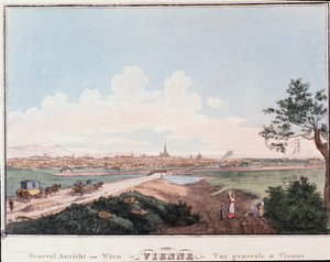 Overview of the city of Vienna with bridge crossing the Danube. Austria Engraving from 1830 Private Collection by Unknown artist