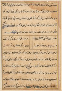 Page from Tales of a Parrot (Tuti-nama): text page by Unknown artist