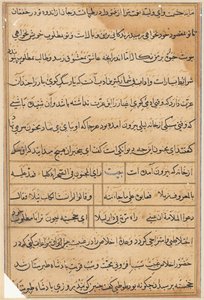 Page from Tales of a Parrot (Tuti-nama): text page by Unknown artist