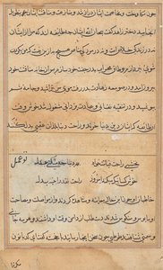 Page from Tales of a Parrot (Tuti-nama): text page by Unknown artist