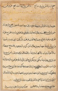 Page from Tales of a Parrot (Tuti-nama): text page by Unknown artist