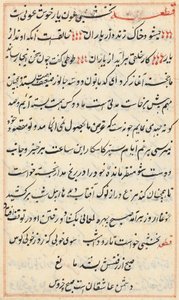 Page from Tales of a Parrot (Tuti-nama): text page