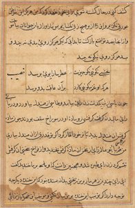 Page from Tales of a Parrot: text page by Unknown artist