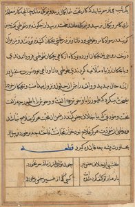 Page from Tales of a Parrot (Tuti-nama): text page by Unknown artist