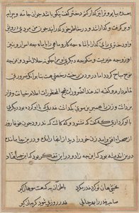 Page from Tales of a Parrot (Tuti-nama): text page by Unknown artist