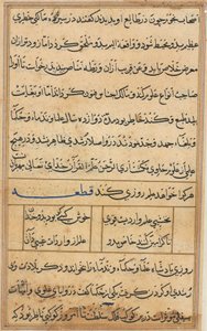 Page from Tales of a Parrot (Tuti-nama): text page by Unknown artist