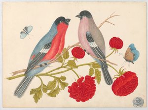 Pair of Birds on Branch with Roses and Butterflies