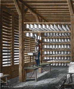 Paper production in the 19th century by Unknown artist