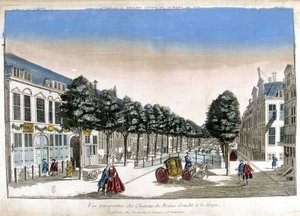 Perspective view of The Hague: the canals and the castle of Prince Gracht - Optical
