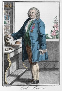 Portrait of Charles Linnaeus (Carl von Linné, Linnaeus)