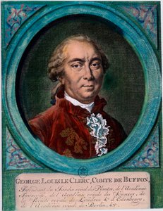 Portrait of George Louis Le Clerc, Count of Buffon