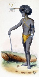 Portrait of a Papua, people of New Guinea.