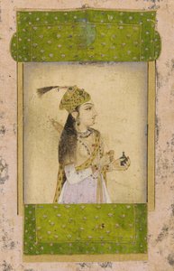 Portrait of a Lady