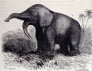 Prehistory: representation of a Dinotherium, type of pachyderm
